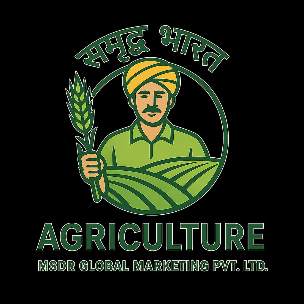 WhatsApp Image 2025-10-13 at 08.25.48